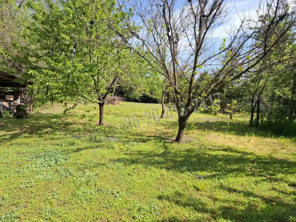 Pest megye - Tápiószele
