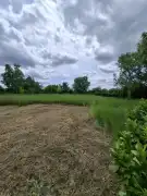 Pest megye - Tápiószentmárton