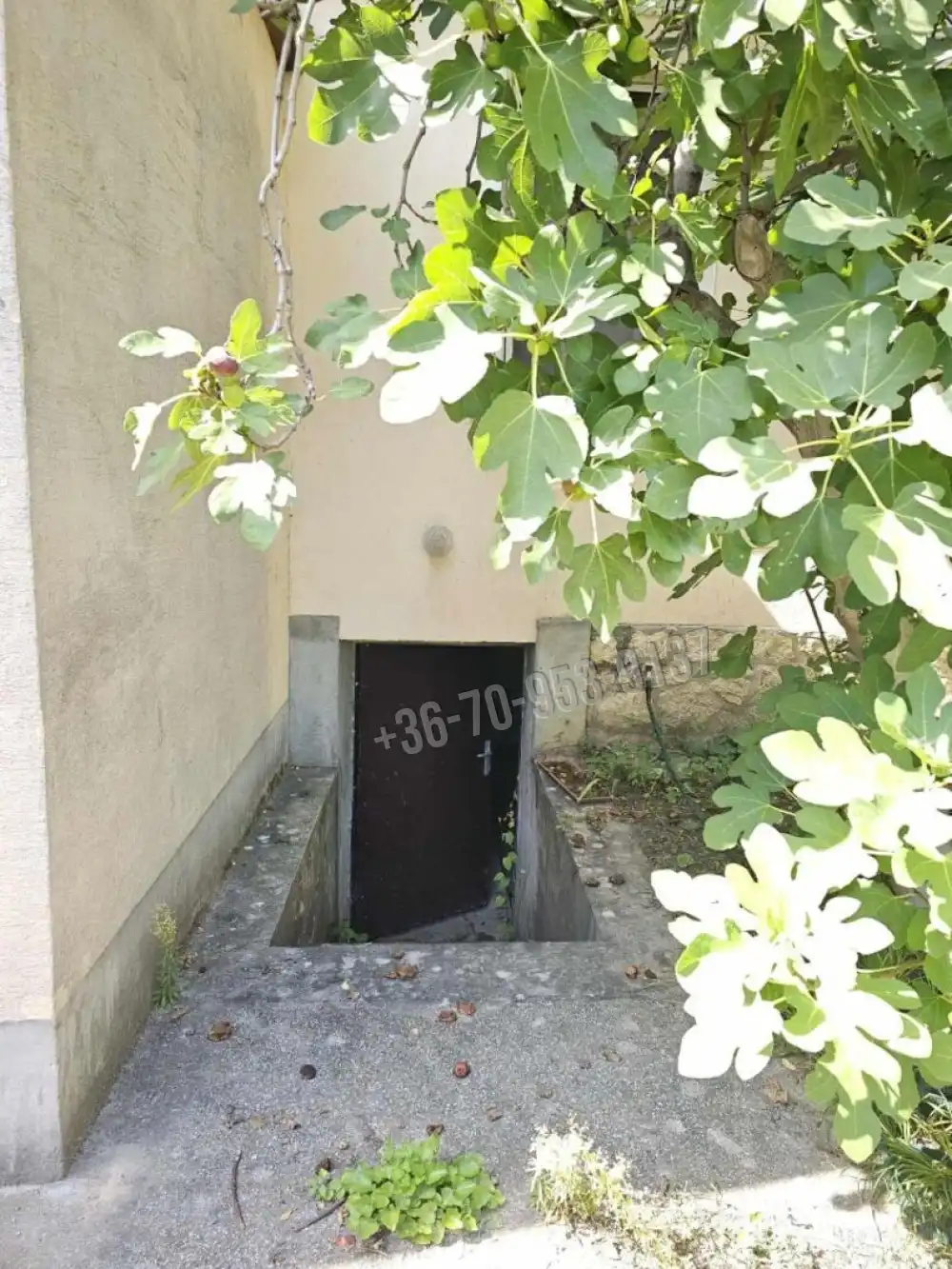 Veszprém megye - Tapolca