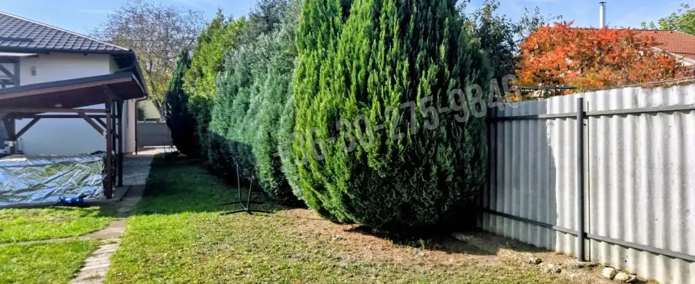 Komárom-Esztergom megye - Tatabánya