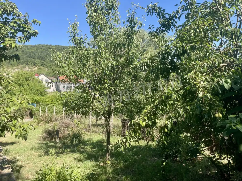 Komárom-Esztergom megye - Tatabánya