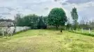 Pest megye - Tatárszentgyörgy