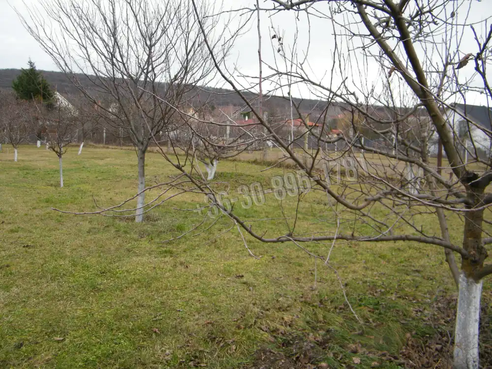 Pest megye - Telki