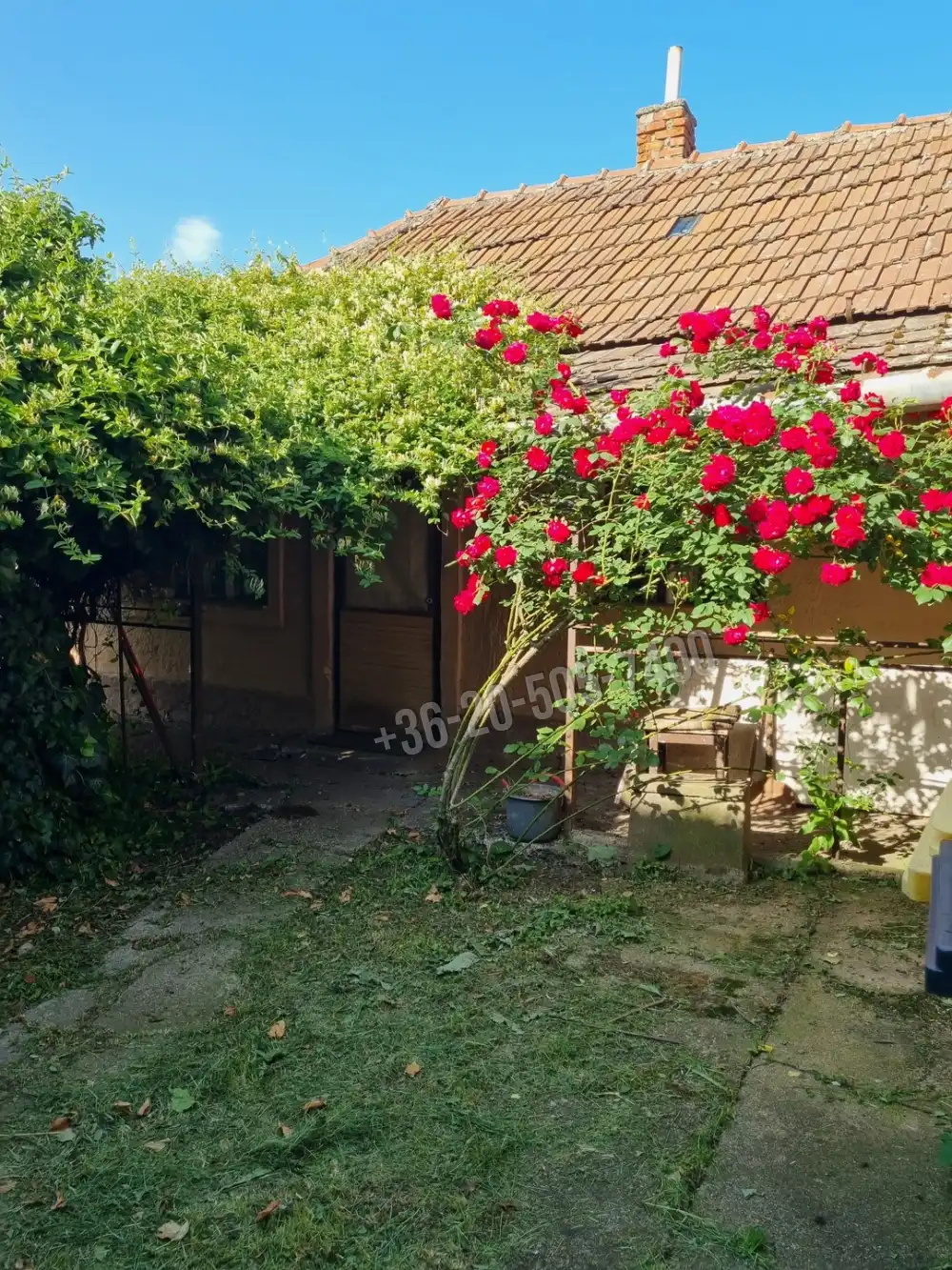 Borsod-Abaúj-Zemplén megye - Tiszalúc