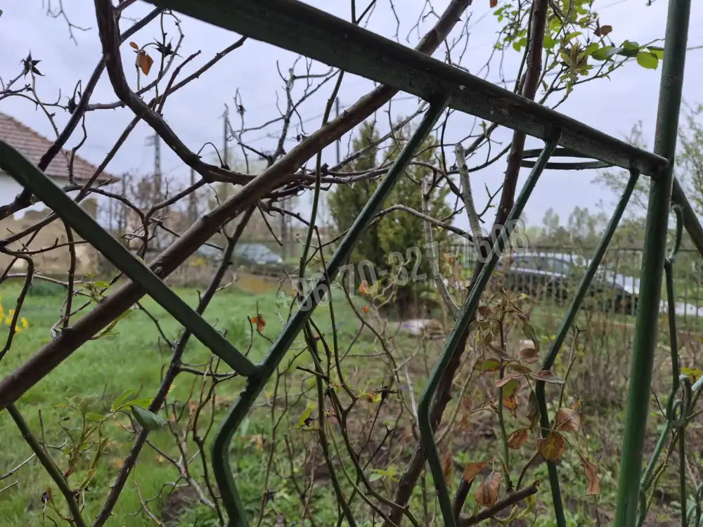 Jász-Nagykun-Szolnok megye - Tiszaszőlős