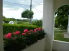 Pest megye - Tök