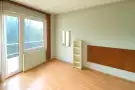 Pest megye - Tököl