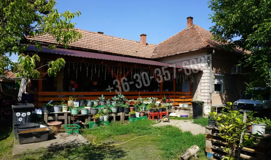 eladó családi ház, Tömörkény