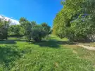 Vas megye - Torony