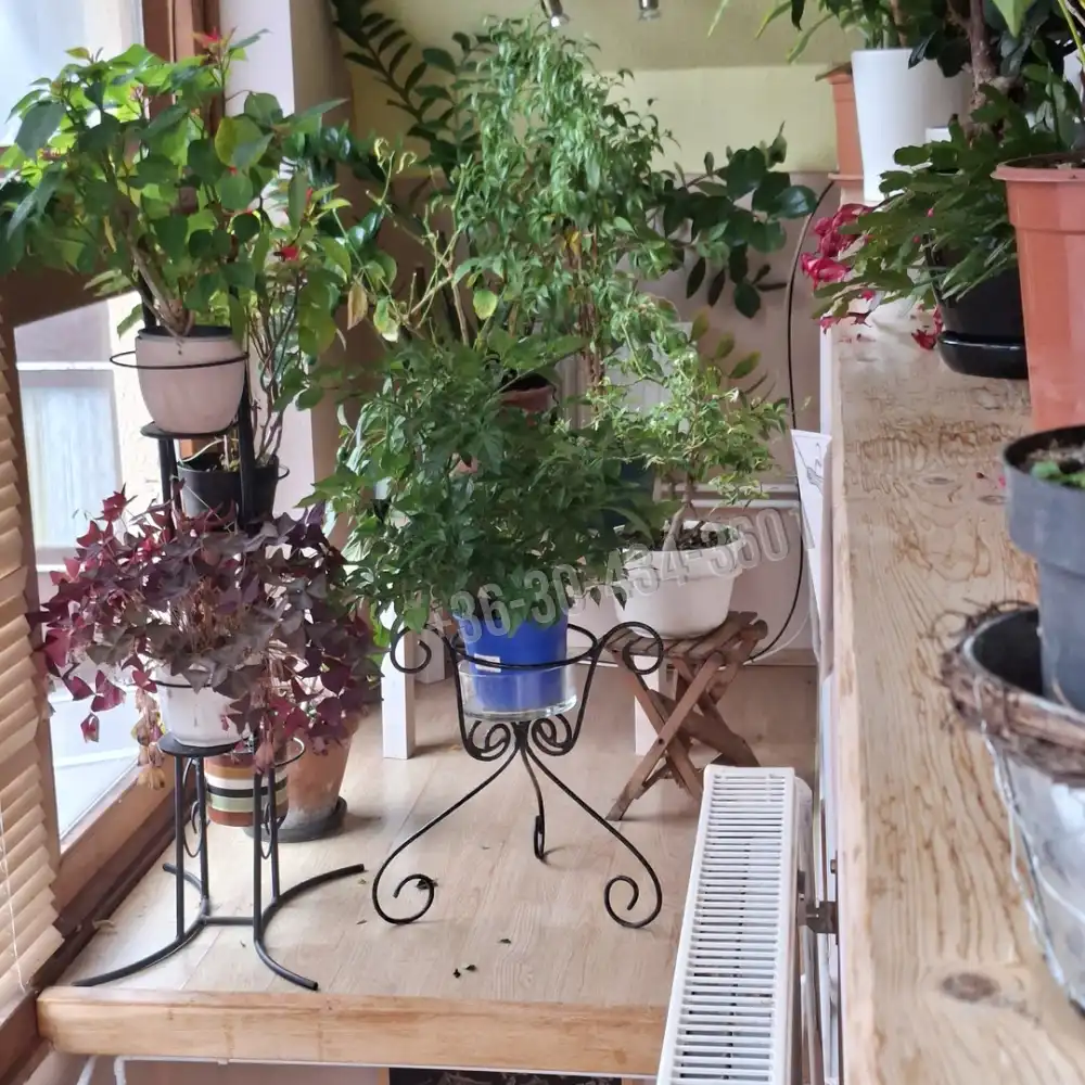 Fejér megye - Újbarok