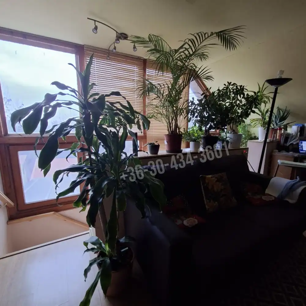 Fejér megye - Újbarok