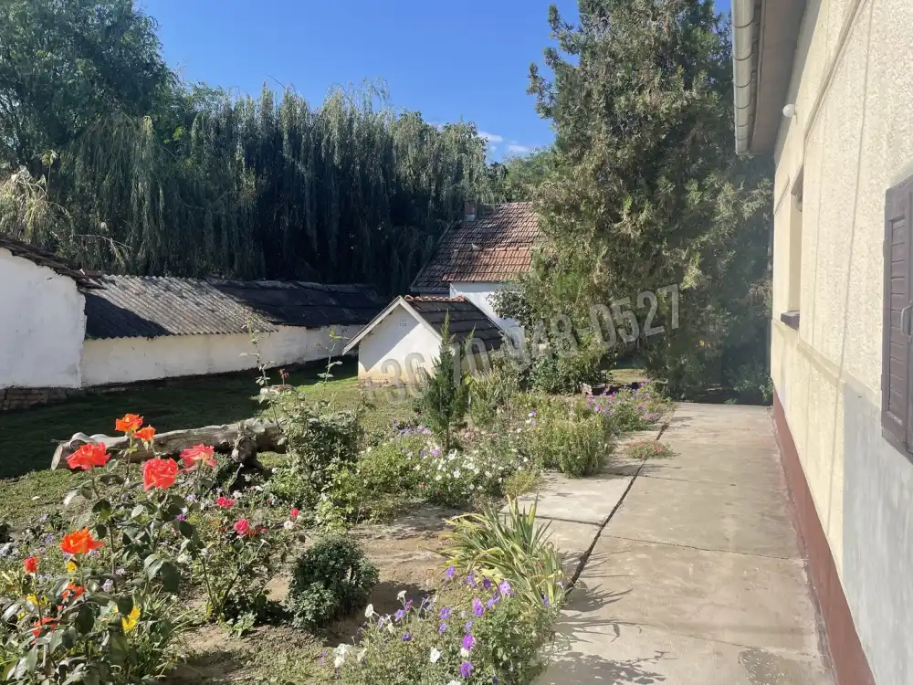 Békés megye - Újkígyós