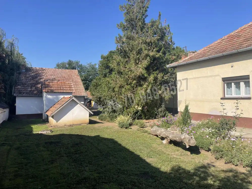 Békés megye - Újkígyós