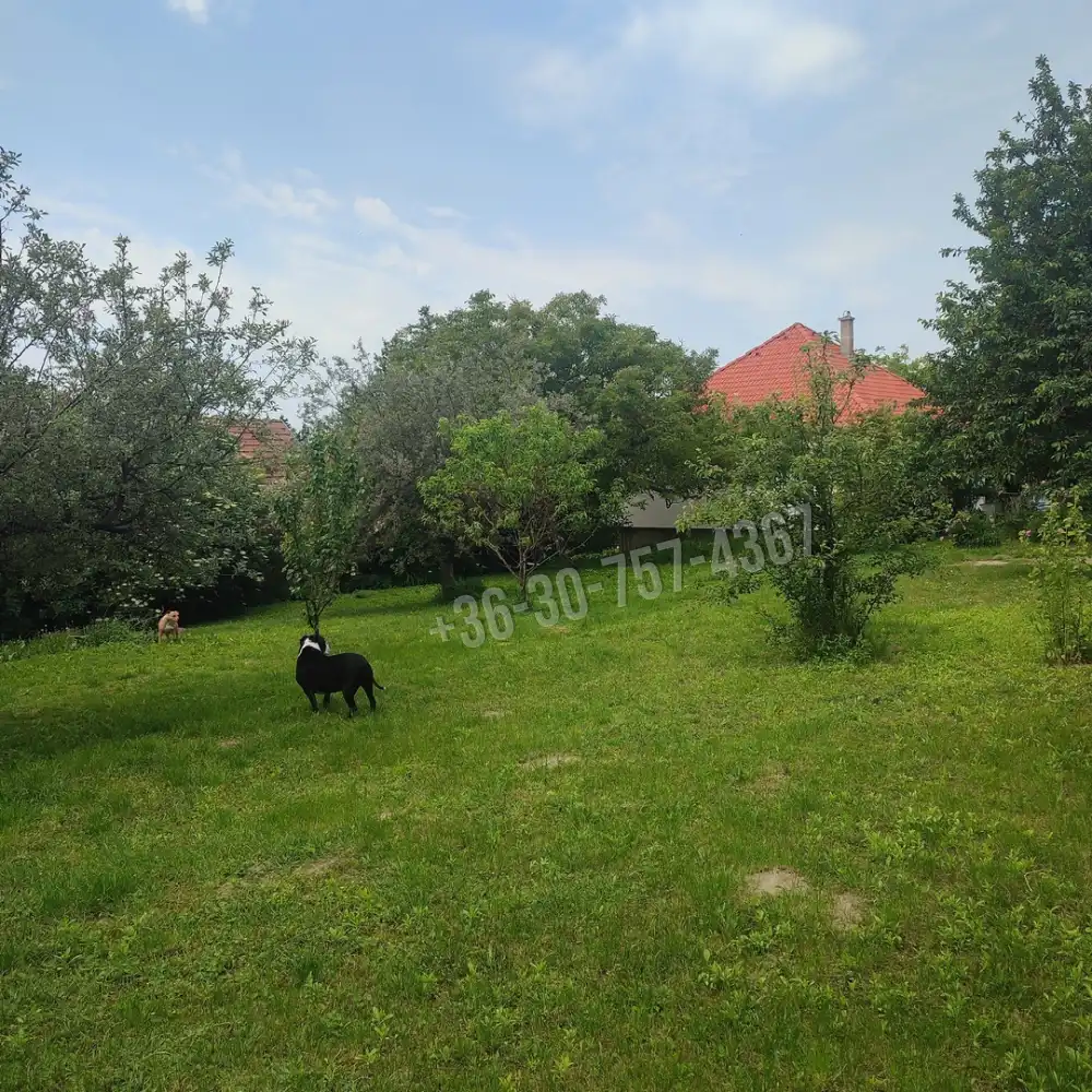 Pest megye - Vác