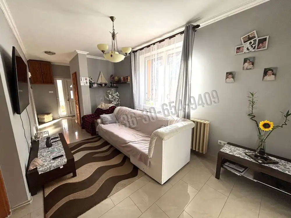 Pest megye - Vácegres