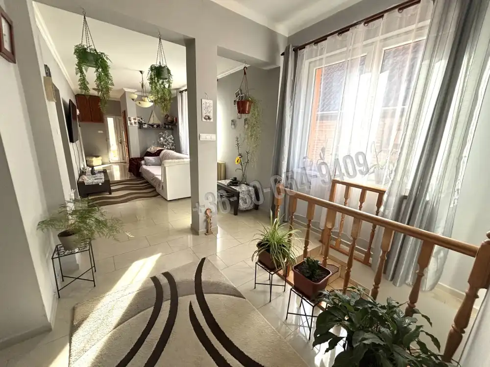 Pest megye - Vácegres