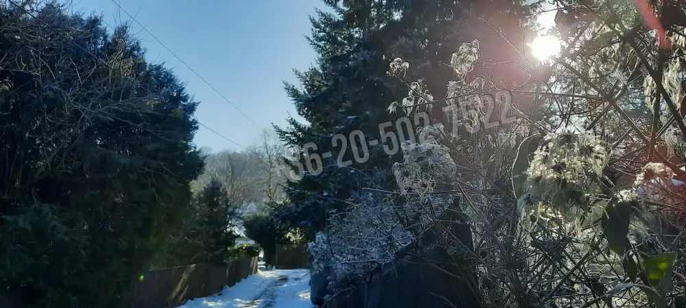 Pest megye - Verőce