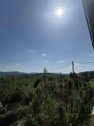 Pest megye - Verőce