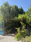 Pest megye - Verőce