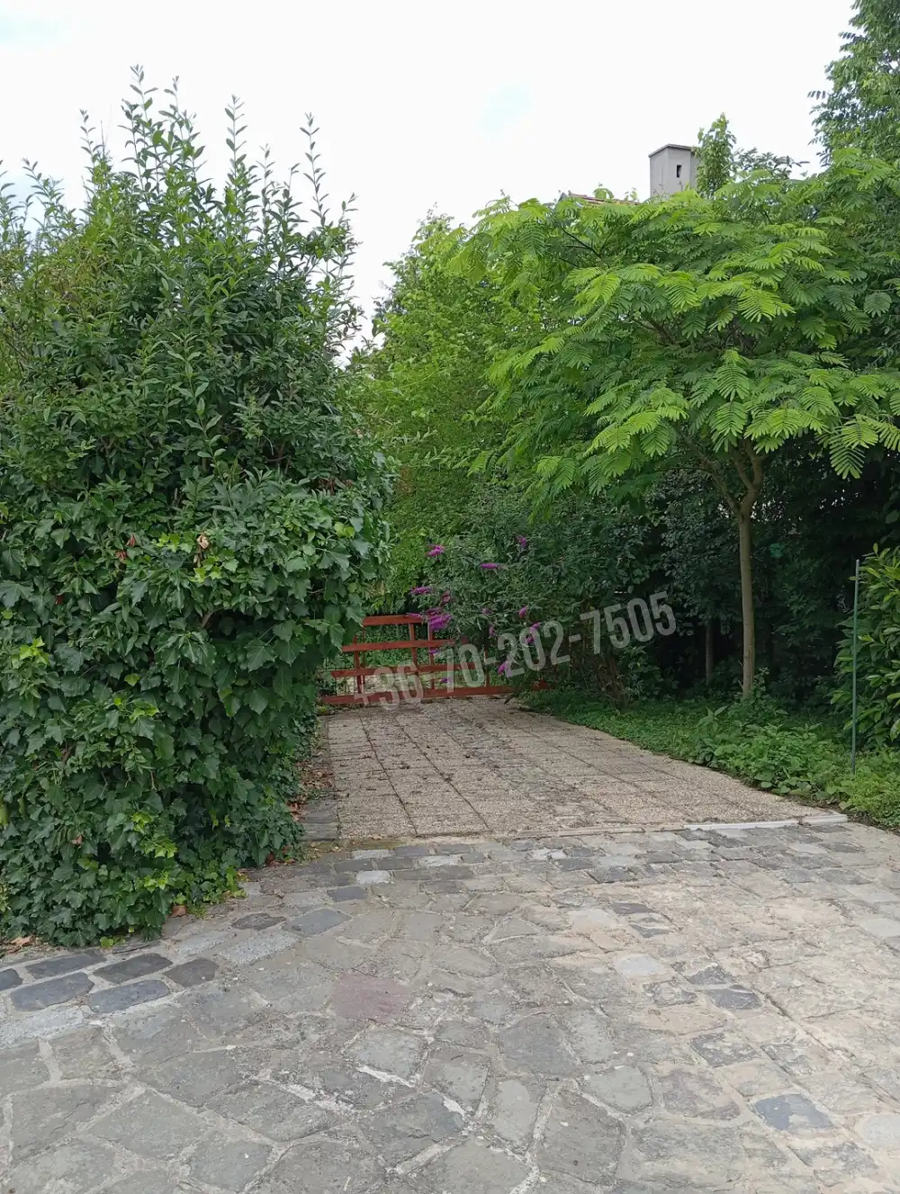 Pest megye - Visegrád