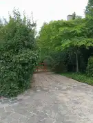 Pest megye - Visegrád