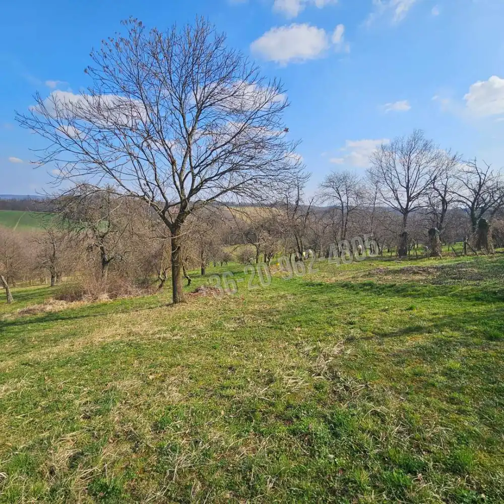 Zala megye - Zalaegerszeg