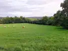 Zala megye - Zalalövő