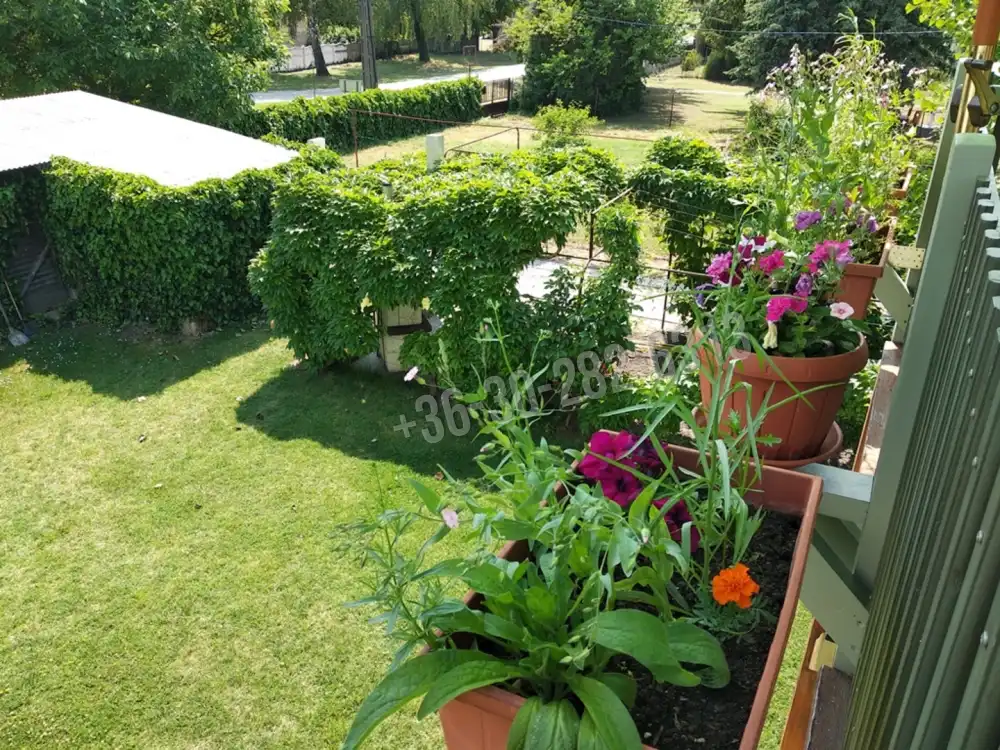 Somogy megye - Zamárdi