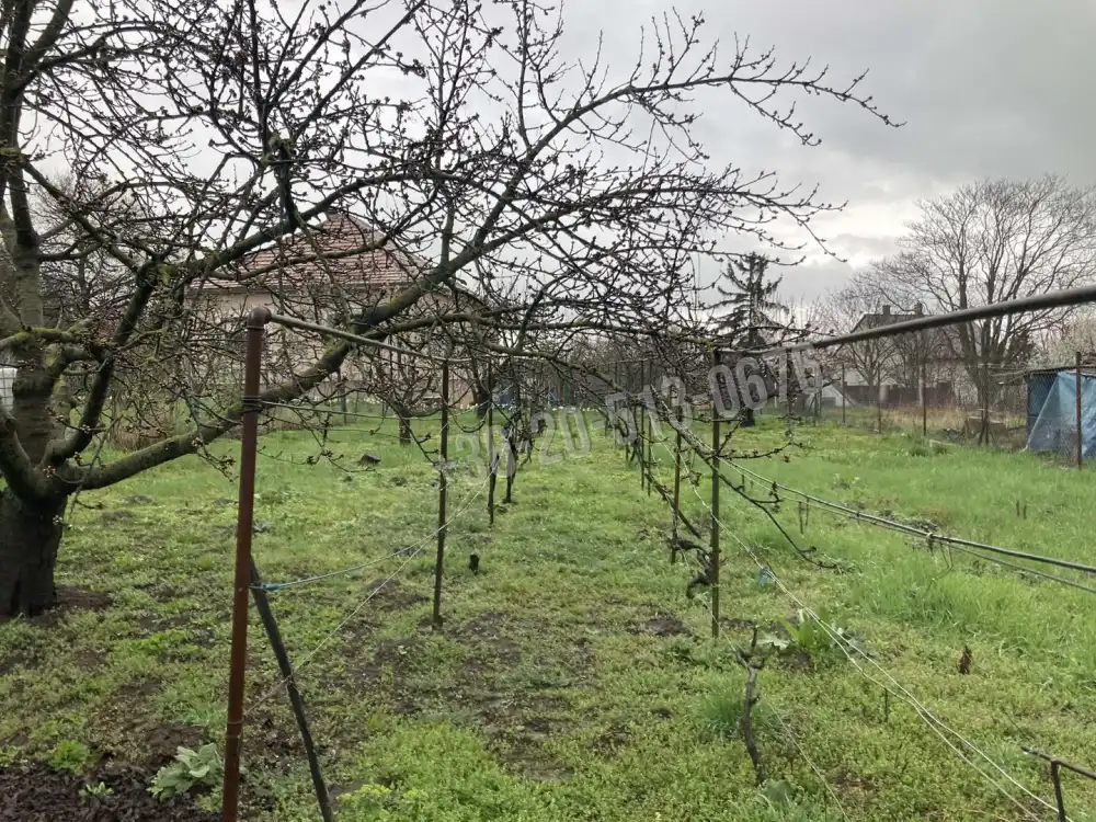 Pest megye - Zsámbék