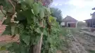 Pest megye - Zsámbok