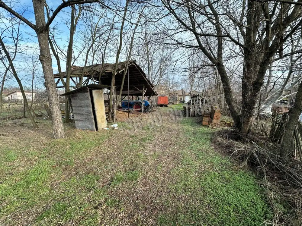 Csongrád megye - Zsombó
