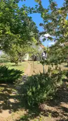 Fejér megye - Dunaújváros