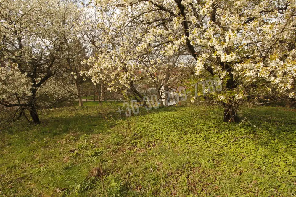 Győr-Moson-Sopron megye - Ágfalva