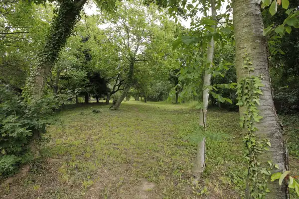 Eladó Építési telek, Ágfalva 2530 m² 20 M Ft