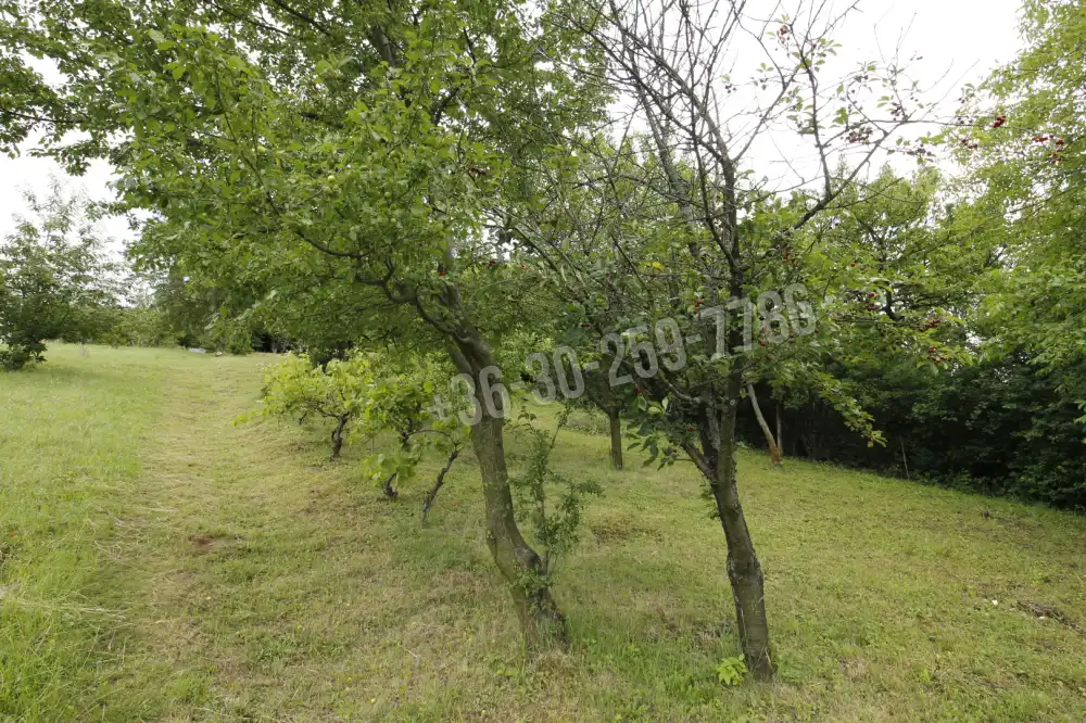 Győr-Moson-Sopron megye - Ágfalva