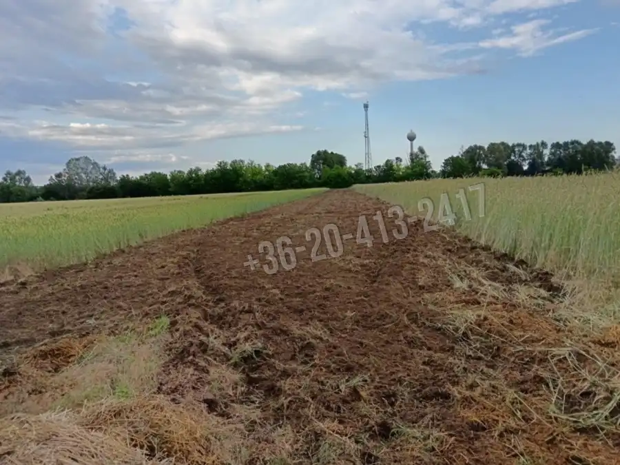 eladó  Építési telek, Albertirsa