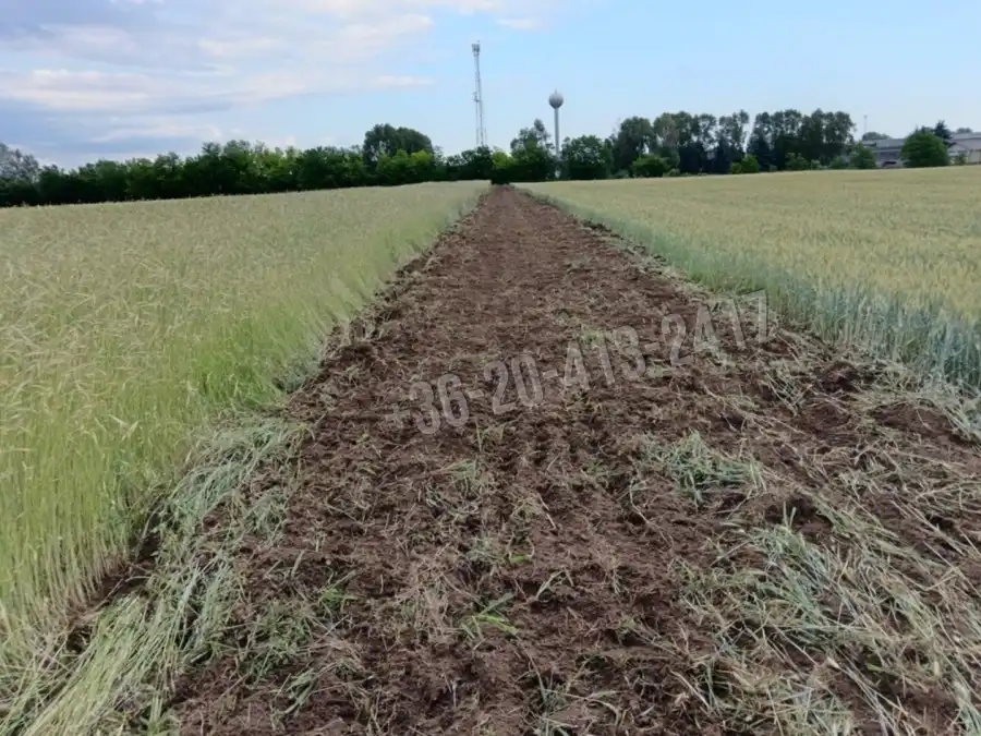 eladó  Építési telek, Albertirsa