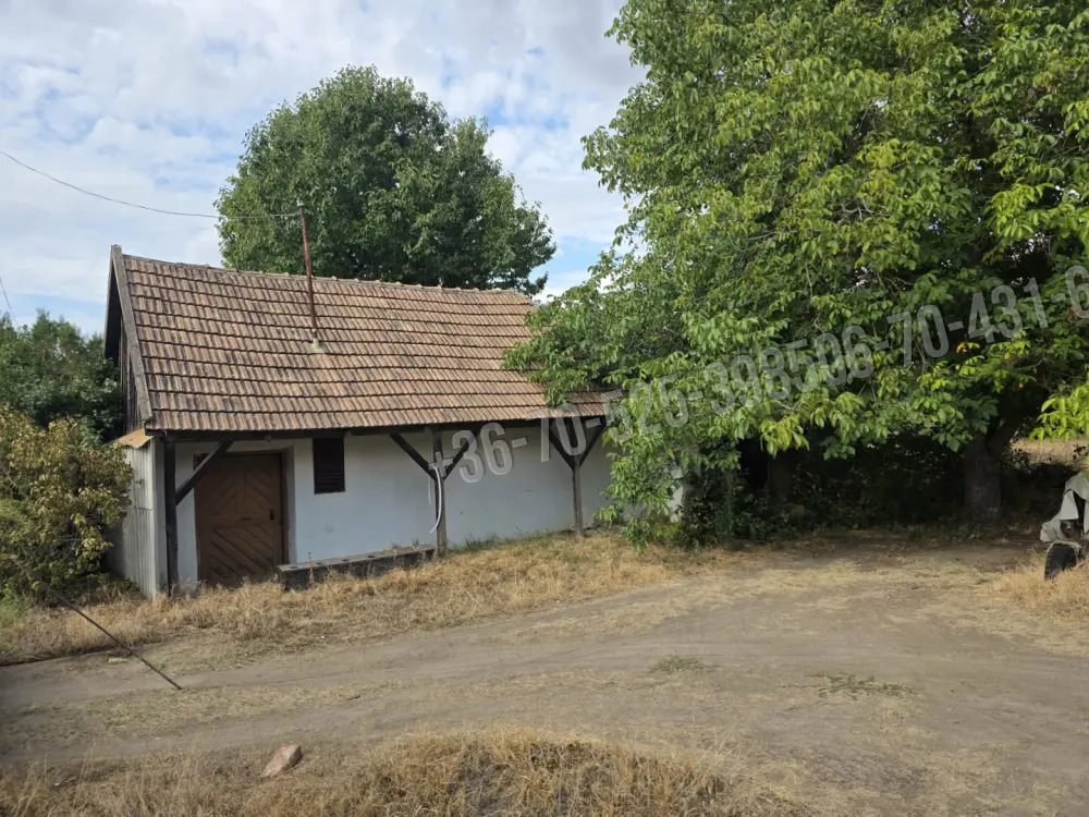 Pest megye - Albertirsa