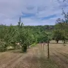 Zala megye - Balatongyörök