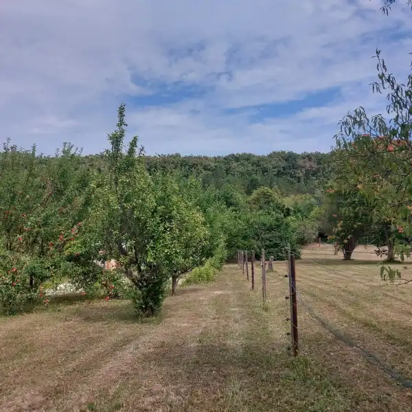 Eladó Építési telek, Balatongyörök 1257 m² 28 M Ft