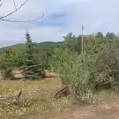 Zala megye - Balatongyörök