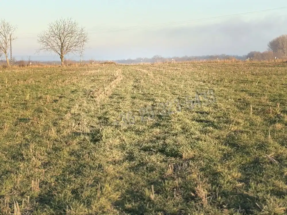 Zala megye - Balatonmagyaród