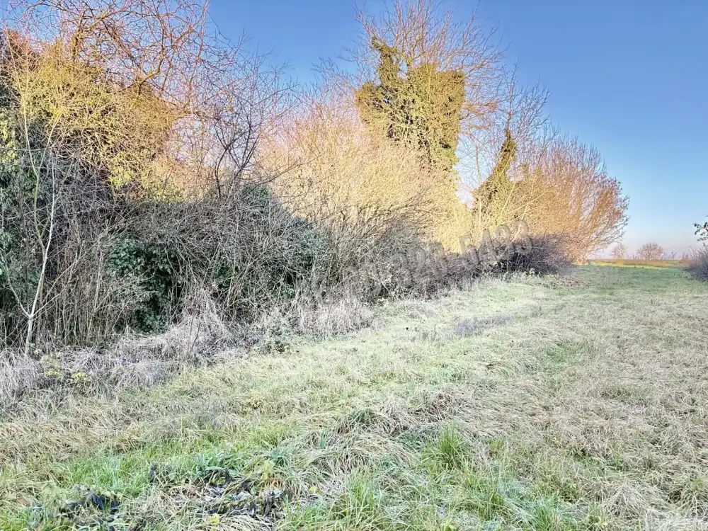 Zala megye - Balatonmagyaród