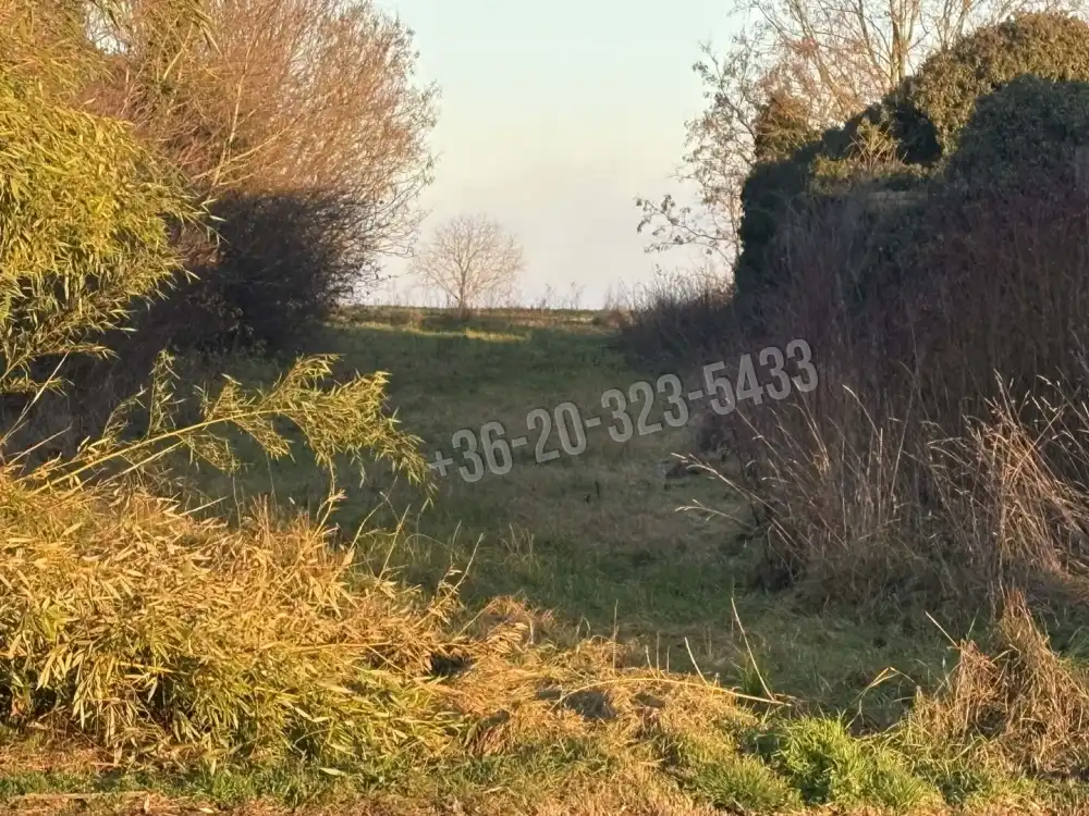 Zala megye - Balatonmagyaród