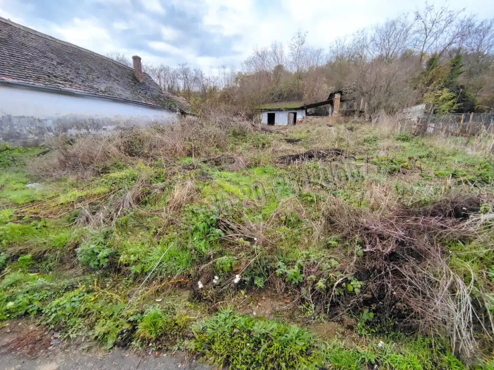 Baranya megye - Bár