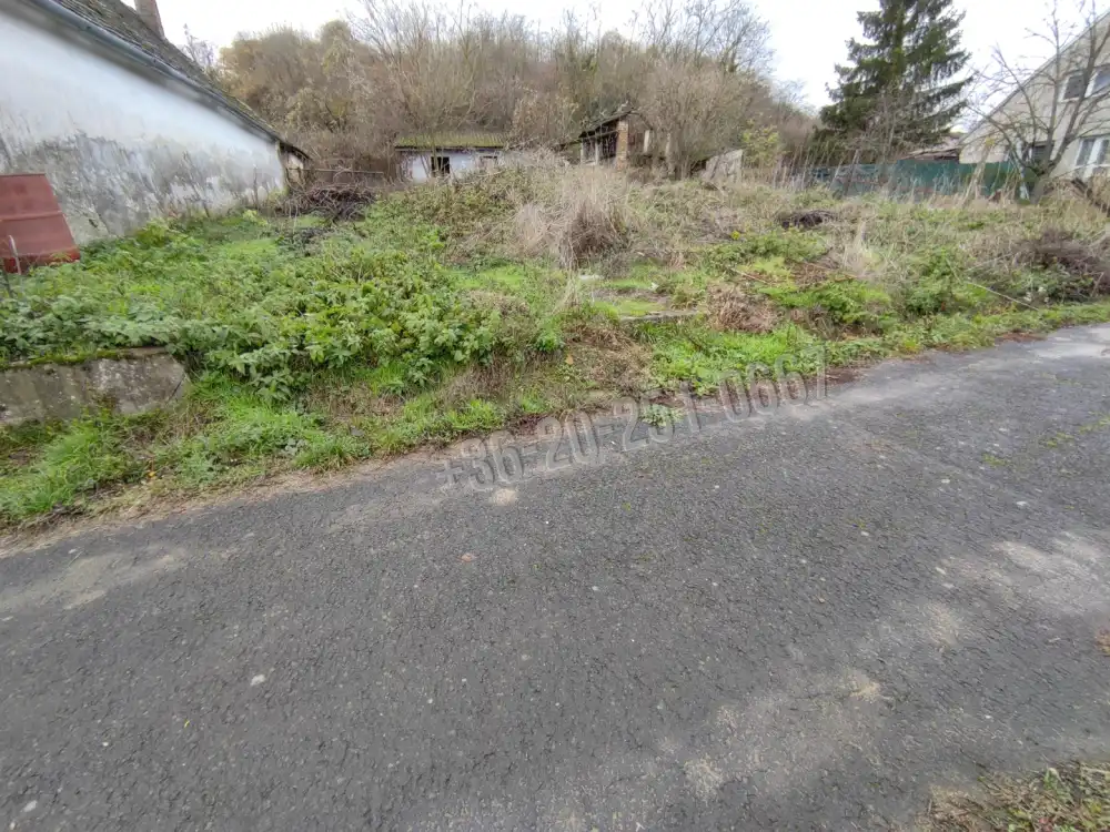 Baranya megye - Bár