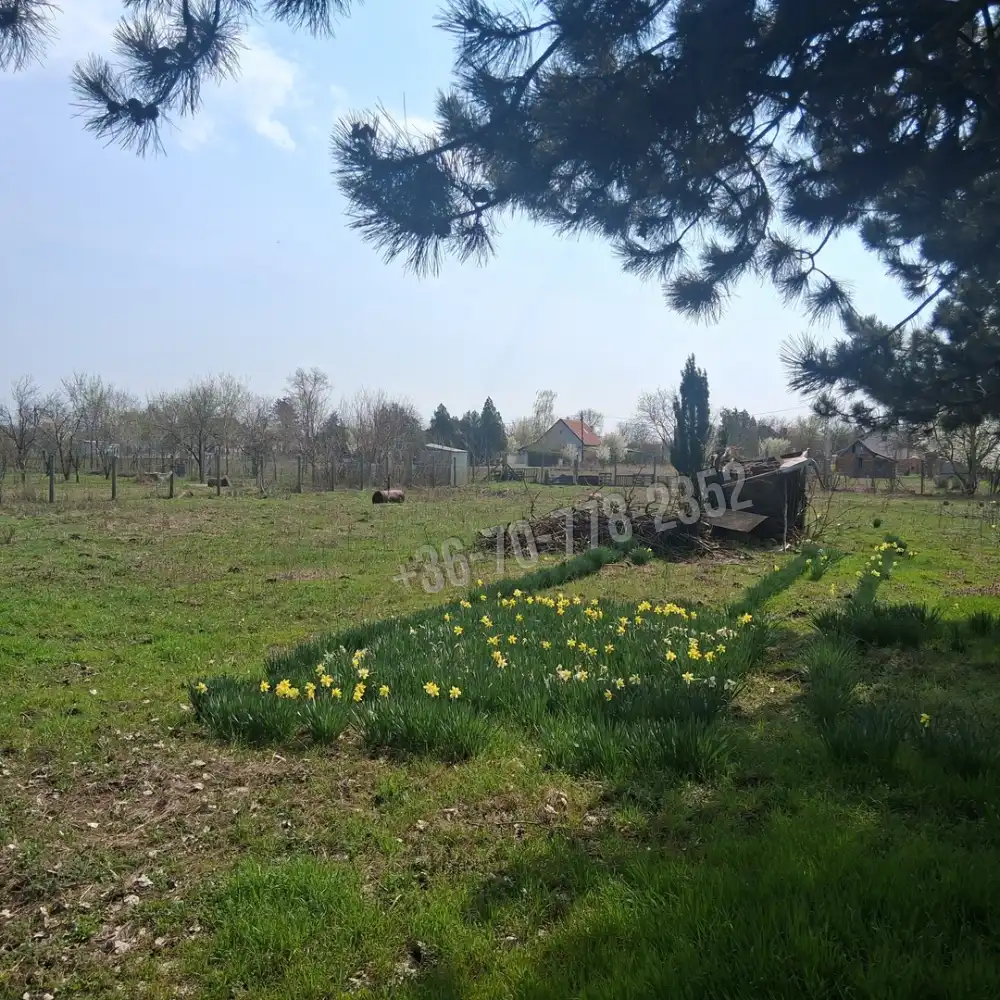 Békés megye - Békéscsaba