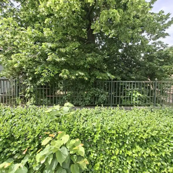 Eladó Építési telek, Bicske 1077 m² 22 M Ft
