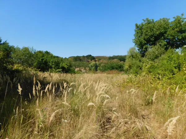 Eladó Építési telek, Bodony 1404 m² 9.5 M Ft