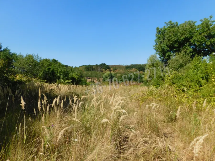 eladó  Építési telek, Bodony